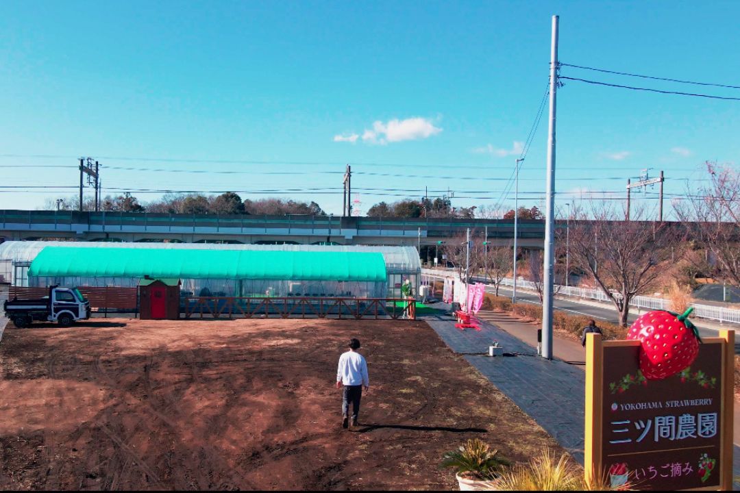 贈答用 赤いちご12粒～15粒