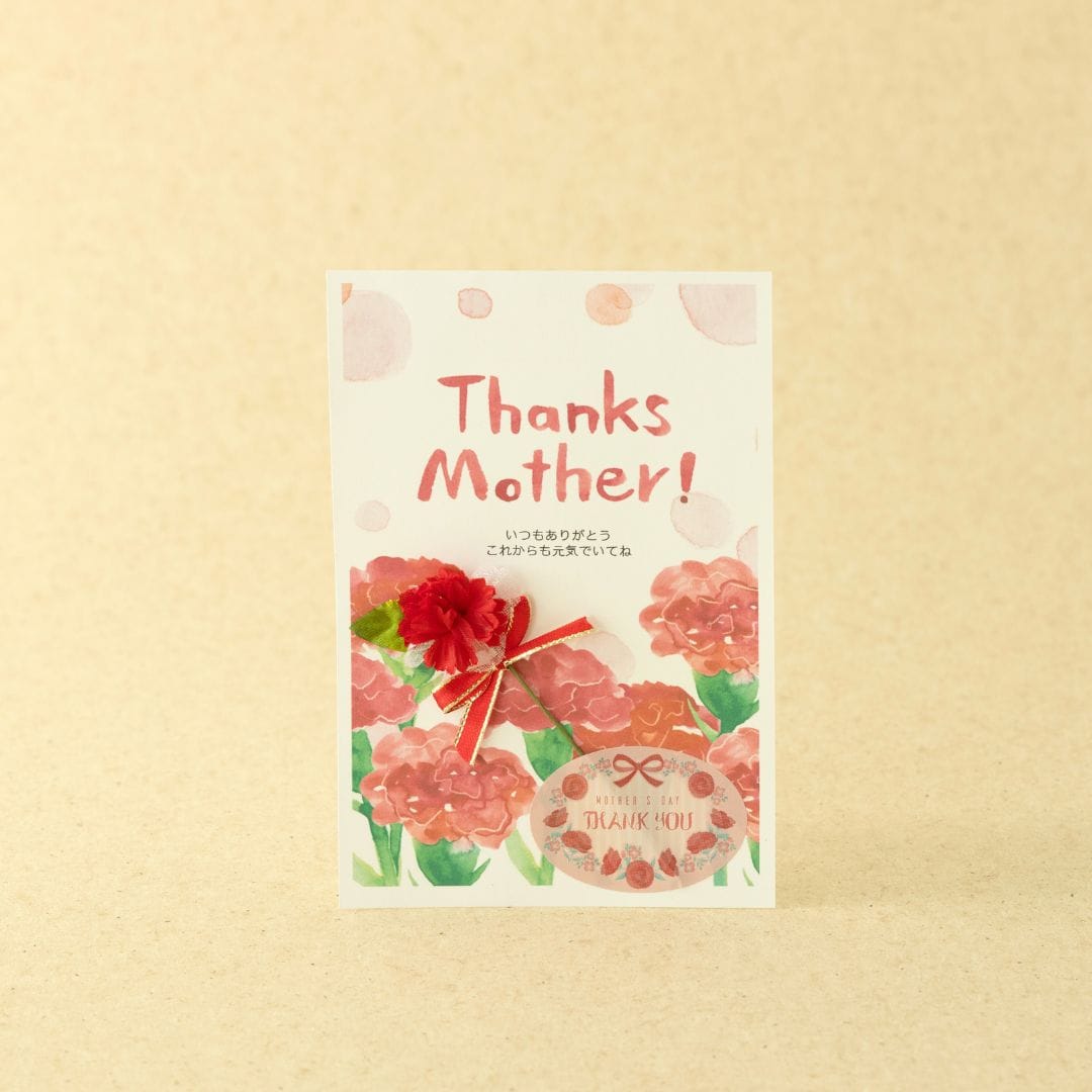 【母の日カード付】ひもの和助2026春セット 2026春セット　(母の日カード付)