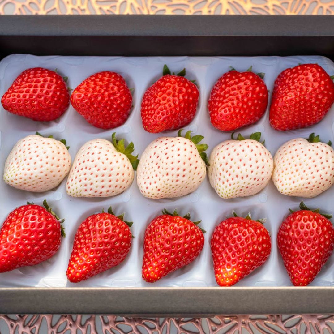 贈答用 紅白いちご12粒～15粒 紅白いちご