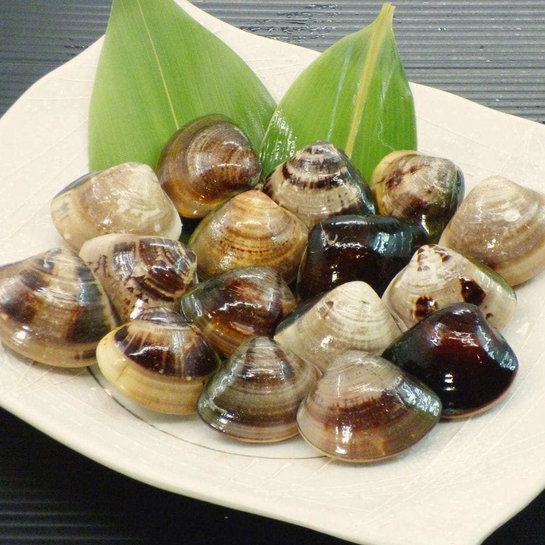 蛤うどんすき 雅