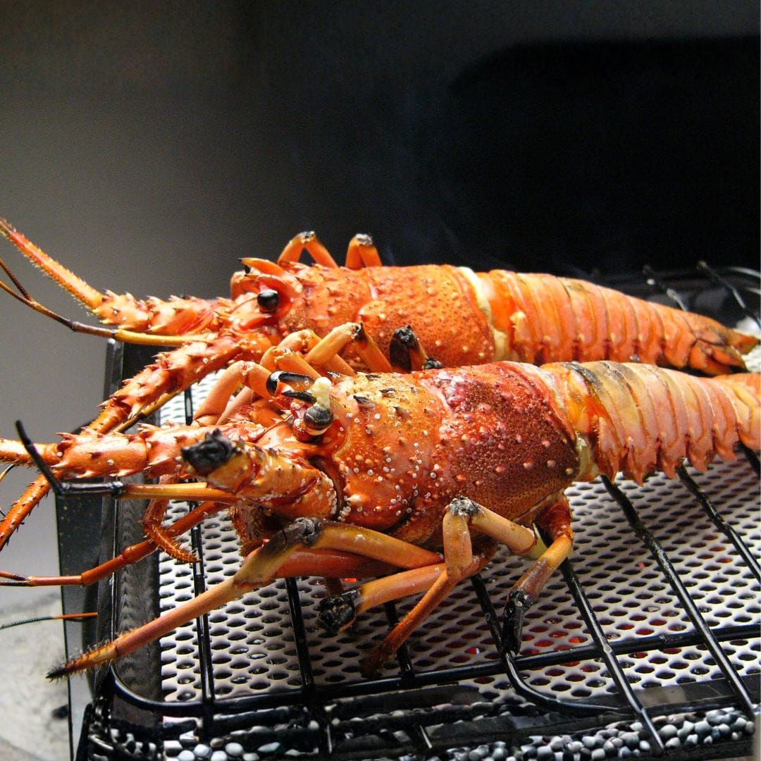 活け〆冷凍伊勢海老 2尾(500g) 2尾500g