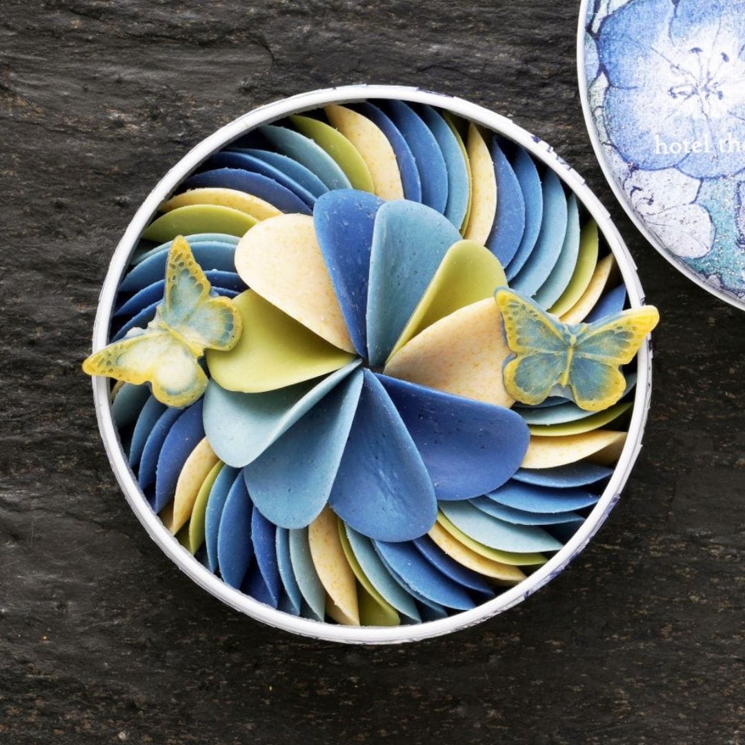 ペタルパピヨンアズール パピヨンアズール レギュラー