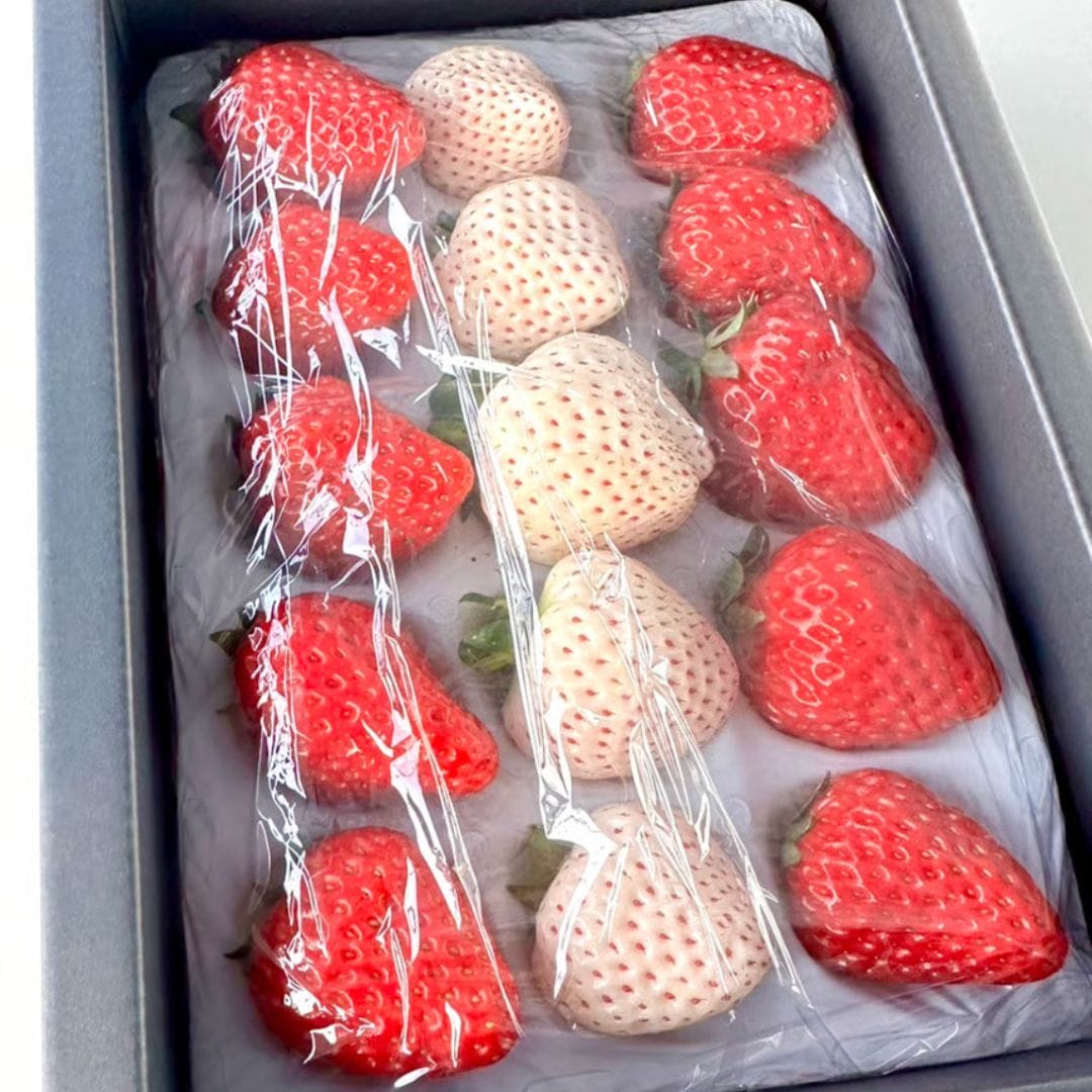 贈答用 紅白いちご12粒～15粒 紅白いちご