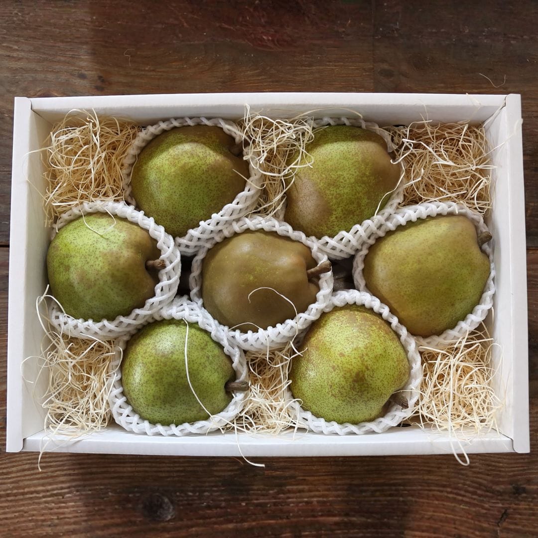 山形県産大玉ラ・フランス(7～9玉) 3kg(7～9玉)