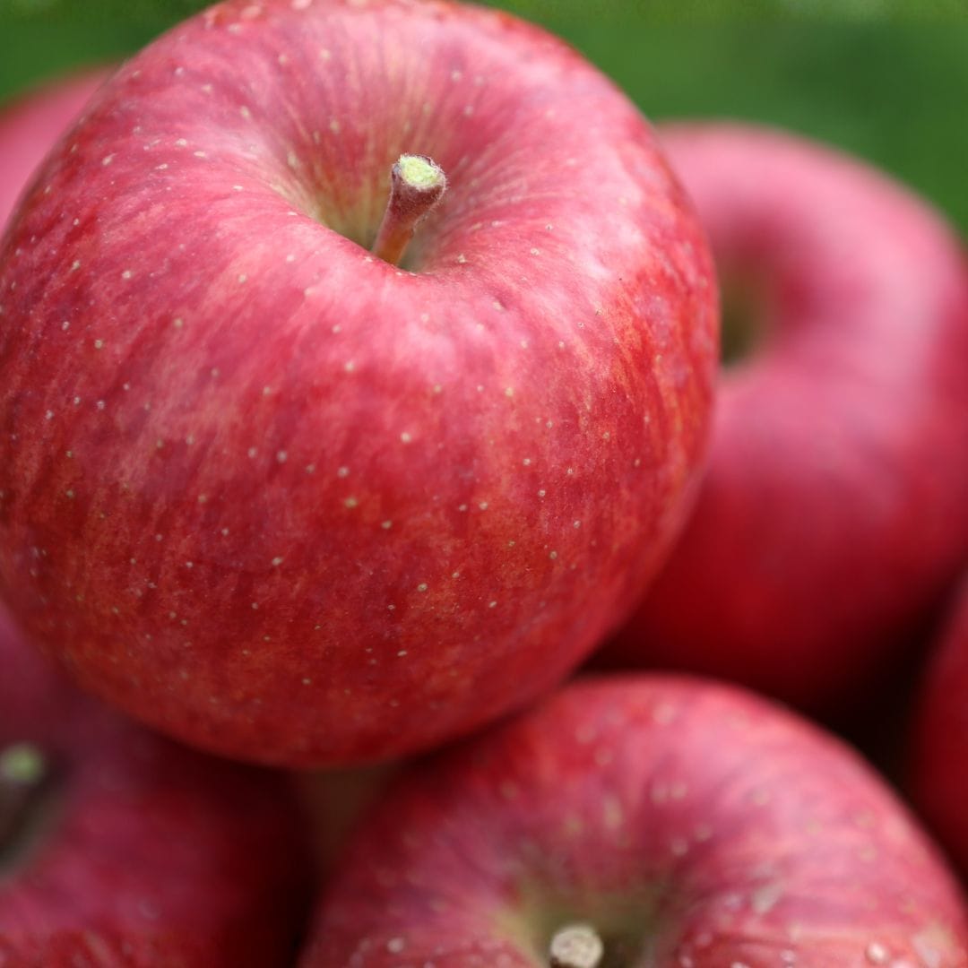 山形県産りんご・サンふじ 3kg