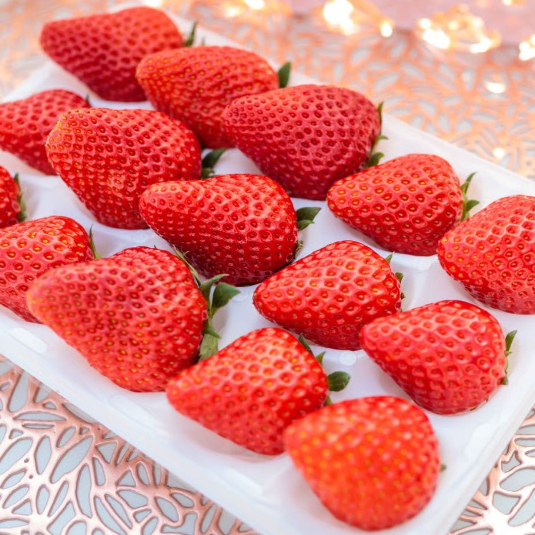 贈答用 赤いちご12粒～15粒