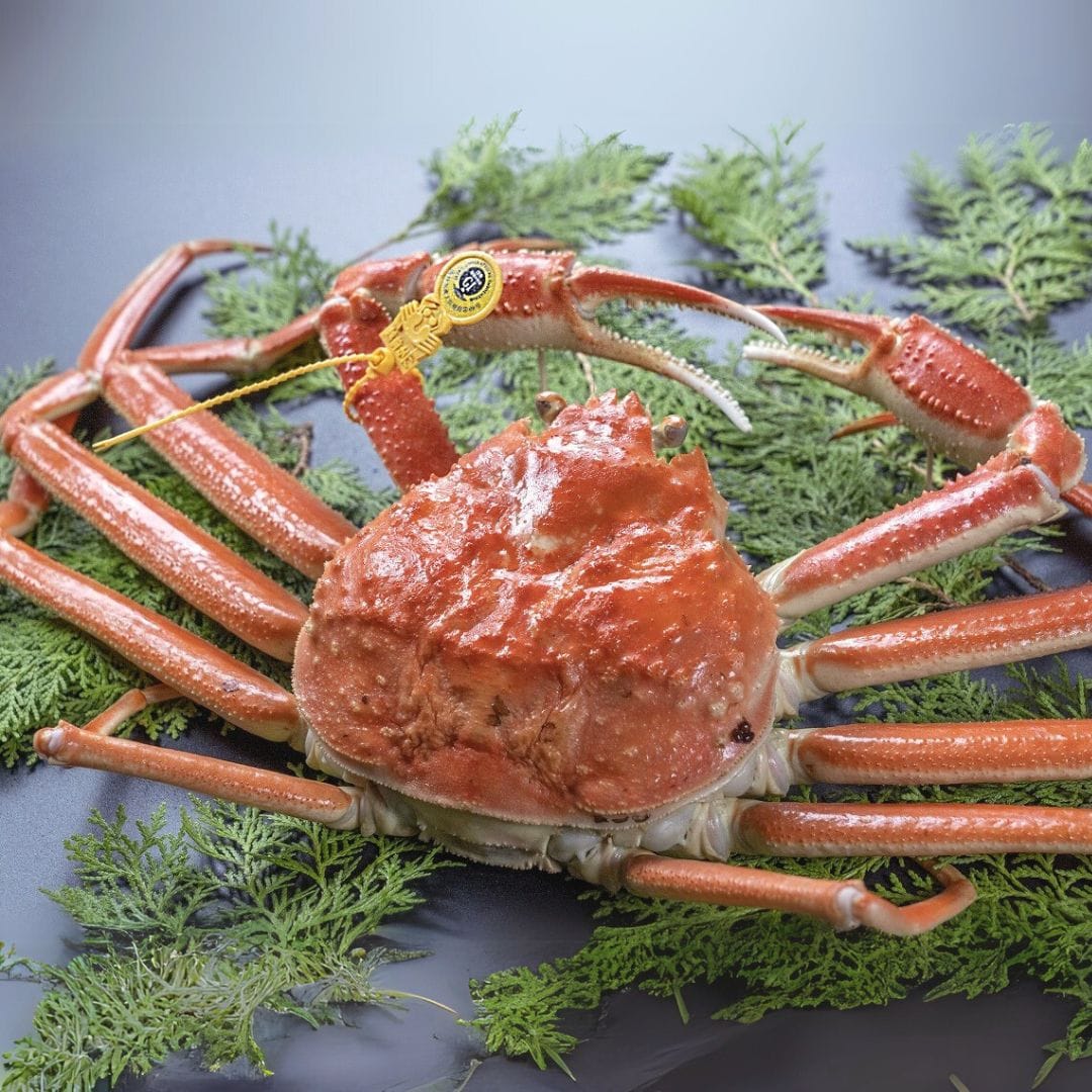 冷蔵越前がに ずわいがに(700g～800g)1杯