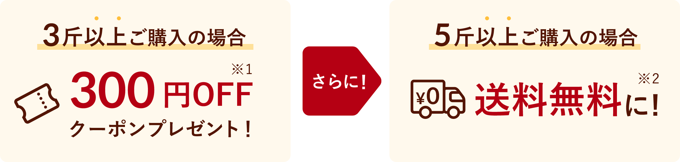12月10日までまとめ買いがお買い得！