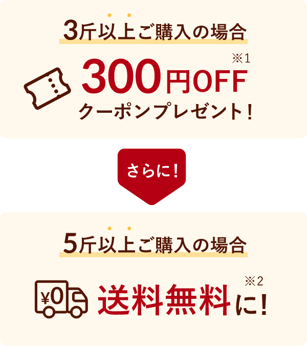 12月10日までまとめ買いがお買い得！